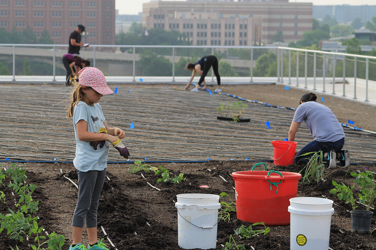 POST News Downtown Houston’s rooftop Skyfarm offers kids handson